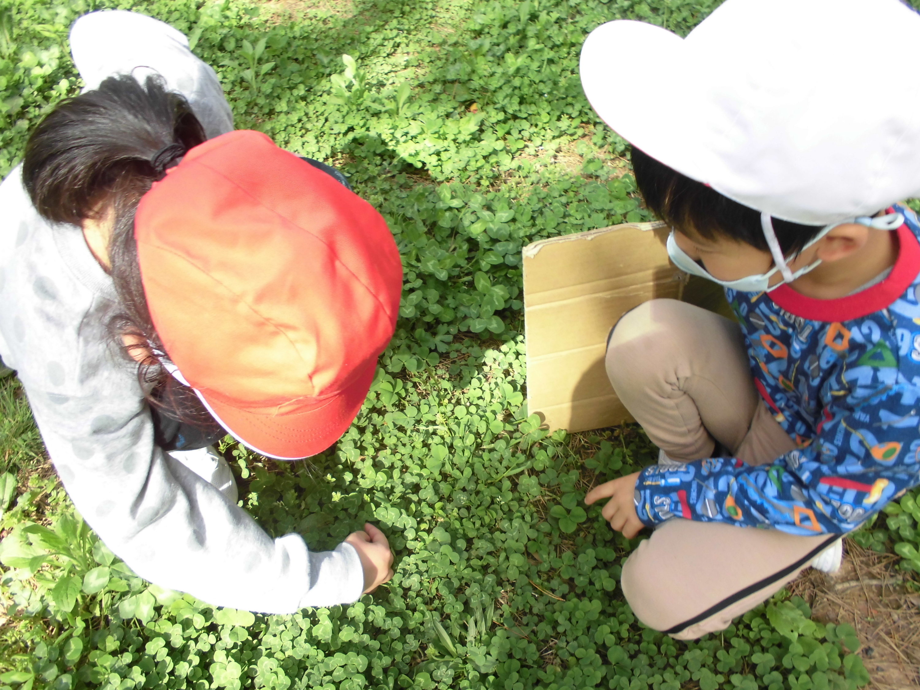 とよまる公園